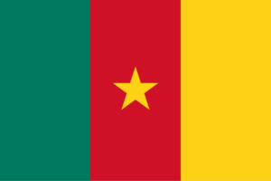 Employment in Cameroon
